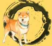 Hallo柴犬屋-哈罗犬舍